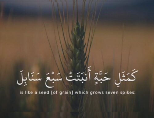 مؤازة طلاب العلم